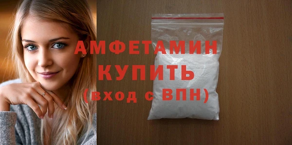 гидра Богданович