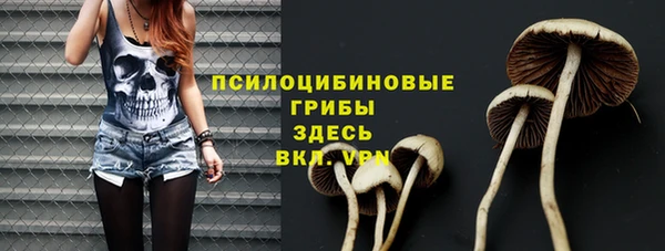первитин Белоозёрский