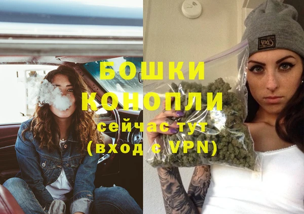 гидра Богданович