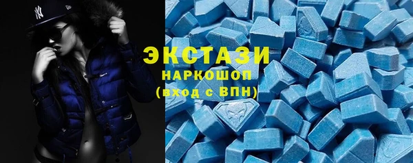 гидра Богданович