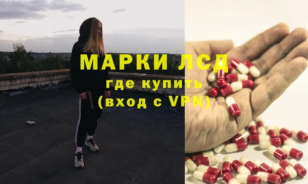 гидра Богданович