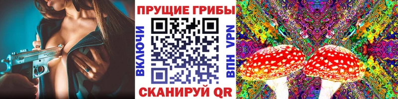 MEGA вход  наркошоп  Данков  Псилоцибиновые грибы мицелий 